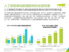 2019年中國人工智能基礎(chǔ)數(shù)據(jù)服務(wù)白皮書 軟件開發(fā)篇